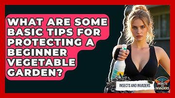 What Are Some Basic Tips For Protecting A Beginner Vegetable Garden? - Insects and Invaders