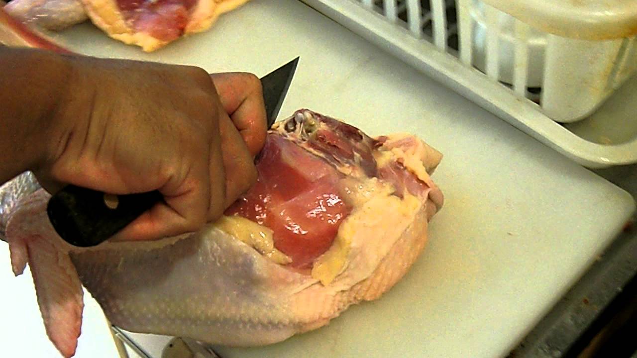 cara memotong ayam 
