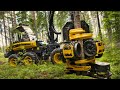 Machines  couper les arbres  trononneuse les plus dangereuses et les plus rapides