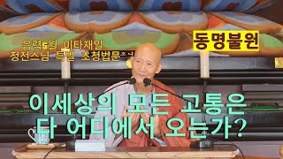 [청전스님 특별 초청 법문]부산동명불원 불기 2568년 음력5월 미타재일 청전 스님 법문 