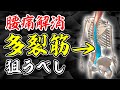 【セルフケア】腰痛に効く!多裂筋アプローチ法|三軒茶屋のさんちゃ整体院