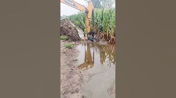 Trenching process for drainage in corn fields