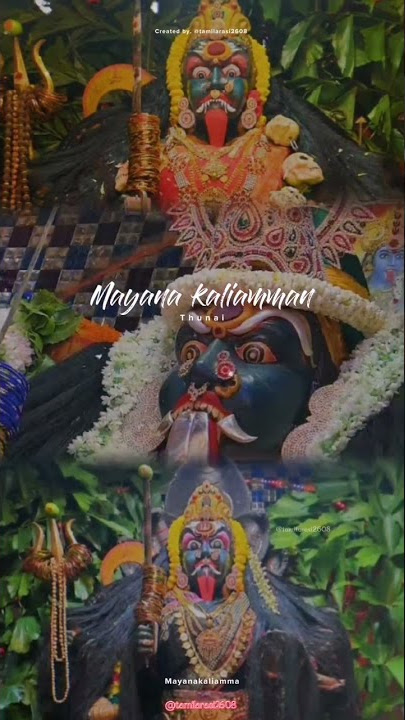Mayana kaliamman🔱❤️WhatsApp status #thaimadi #urumimelam