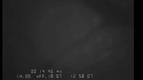 Borrelia burgdorferi tethering, dragging and crawling along blood vessel walls in a live mouse