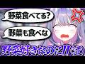 よくされる勘違いを偏見だと怒るビブーw【ホロライブEN翻訳切り抜き/古石ビジュー】