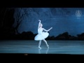 Svetlana Zakharova & Andrei Uvarov in Swan Lake