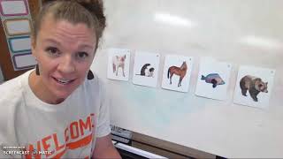 Module 2 - Lesson 19 - Phonological Awareness