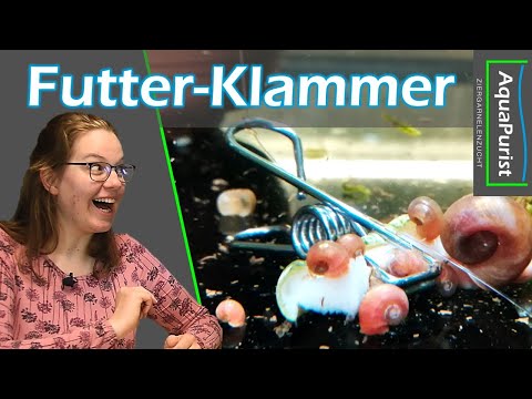 Video: Haben Knochenfische Klammern?