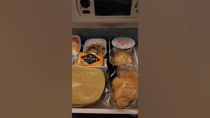 flight meals#emirates plane meal#shorts