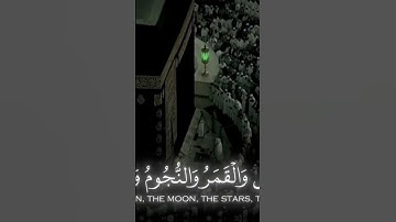 سوره الحج بصوت الشيخ ياسر الدوسري #اجمل تلاوات الشيخ ياسر الدوسري #القرآن_الكريم #الله