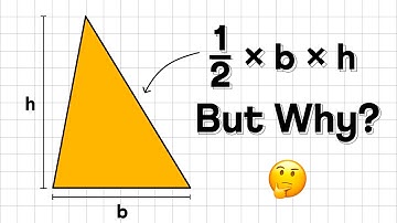 Area of Rectangles and Triangles