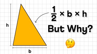 Area of Rectangles and Triangles