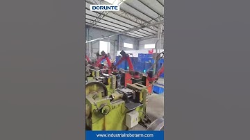 4 Axis Stamping Robot Loading Process - Borunte #shorts #shortsvideo #industrialrobots #automation