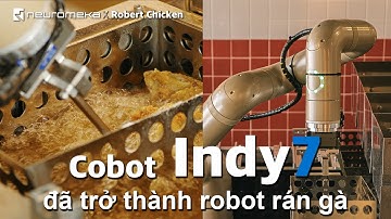 Cobot Indy7 nấu gà rán tại Robert Chicken