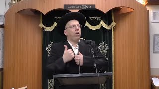 הרב ליאור גלזר שליט"א פרשת חיי שרה תשע"ט