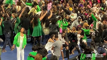 How Alpha Phi Alpha fraternity & Alpha Kappa Alpha and The D9 ❤️🐩💙💛 👌🏾STROLL In TENNESSEE aka stroll