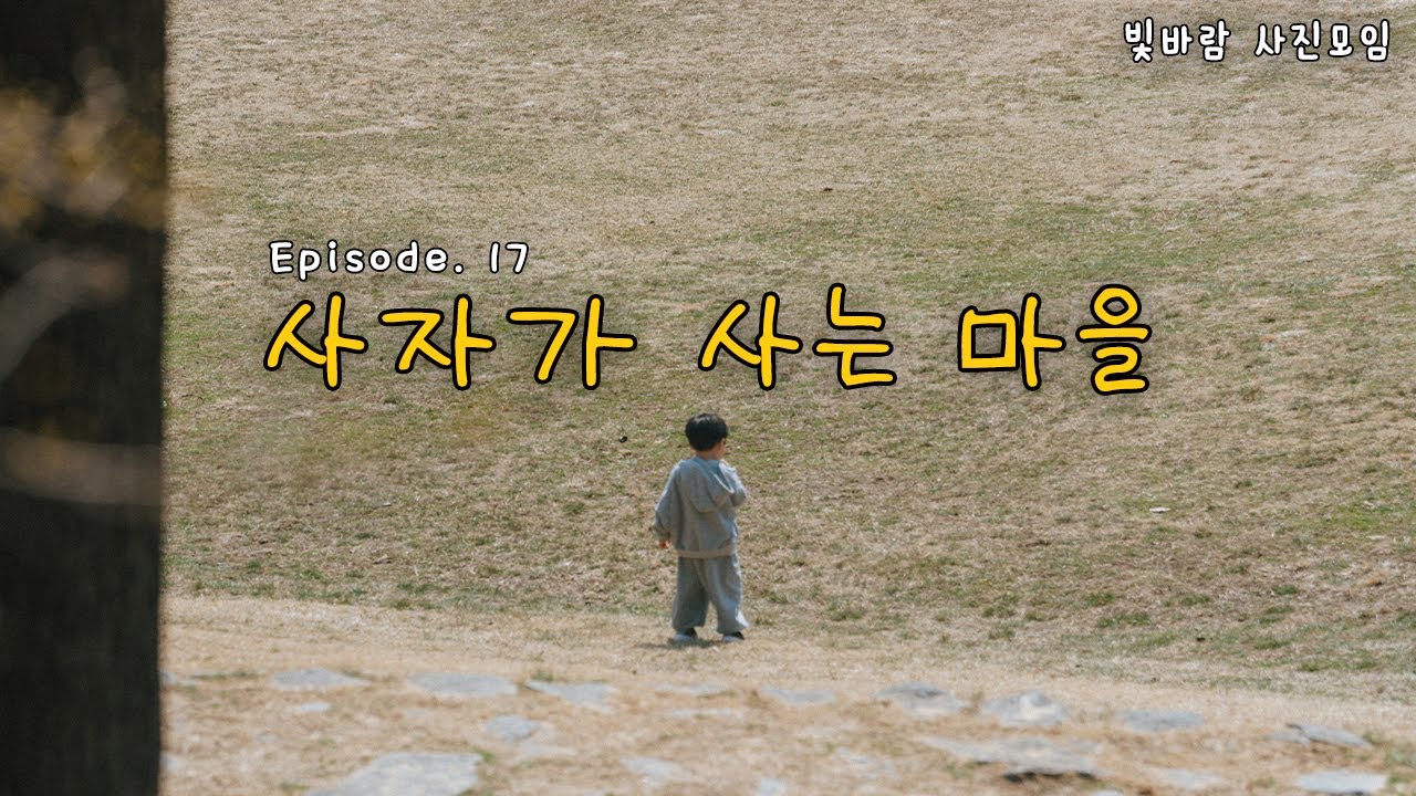[빛바람 사진모임] EP.17 사자가 사는 마을｜수암골｜상당산성｜세운상가