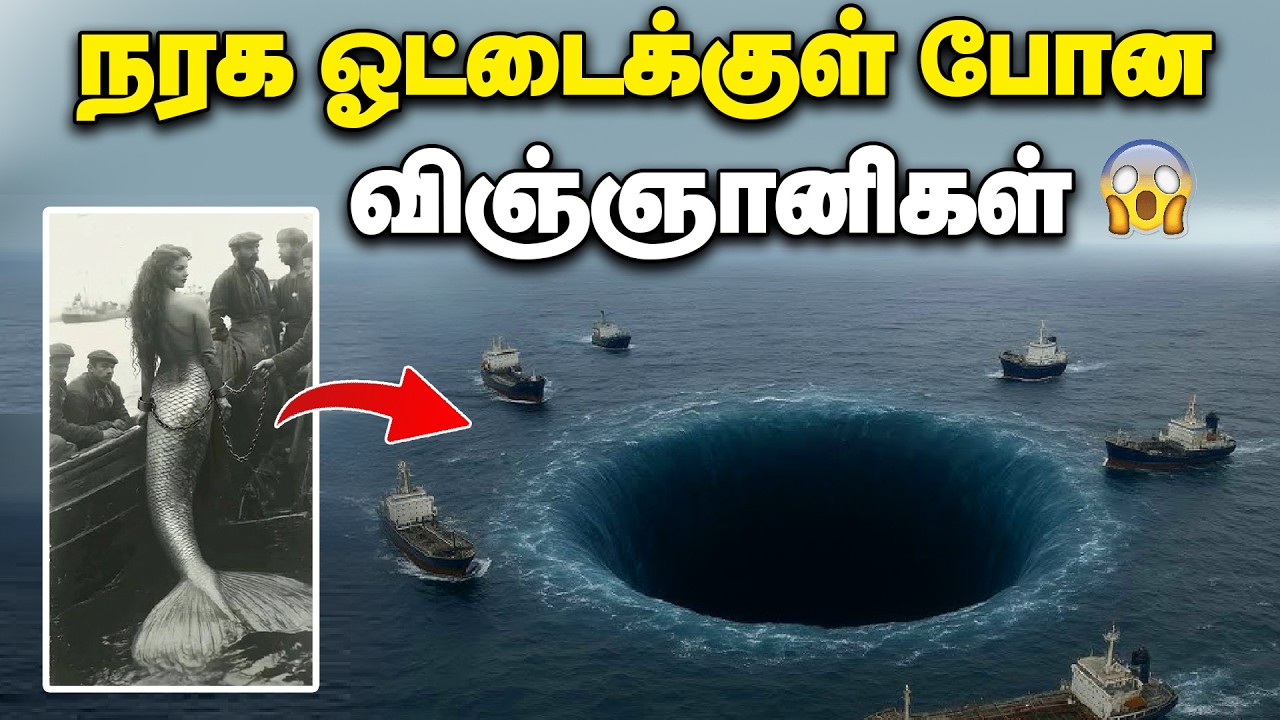 மர்மம் விலங்குகள் வாழும் உலகம் 😱😱| உலகமே பயந்து போன இடம்  | Mariana Trench