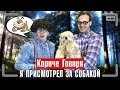 КОРОЧЕ ГОВОРЯ, Я ПРИСМОТРЕЛ ЗА СОБАКОЙ [пропала собака]