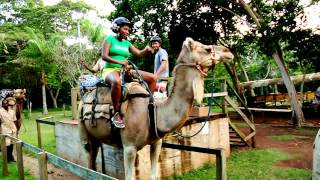 Pon Di Road (Season 2) Recap