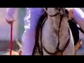 Nazabazi with mubashar tiwana beautifulhorses horse pakistan punjab youtubeshorts youtube