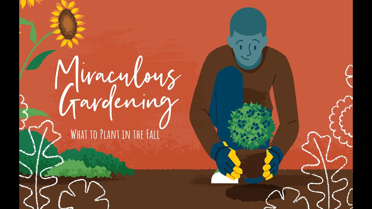 What Can You Plant in the Fall? YouTube
