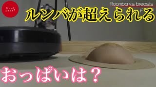 【ルンバが超えられるおっ◯いの限界は何カップ⁇】 Aカップ Bカップ Dカップ Fカップ