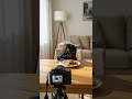 黒猫ジジのASMR〜カレー〜