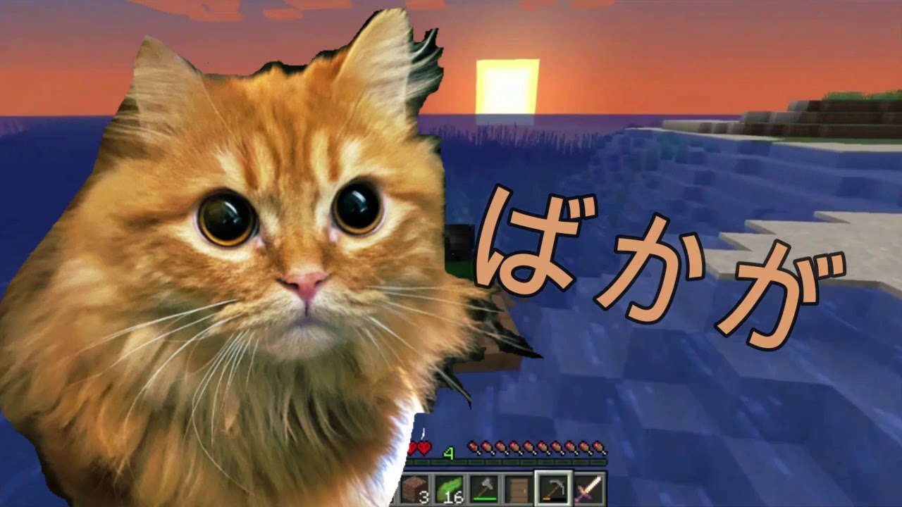 愛猫がバカすぎて大草原生えた話