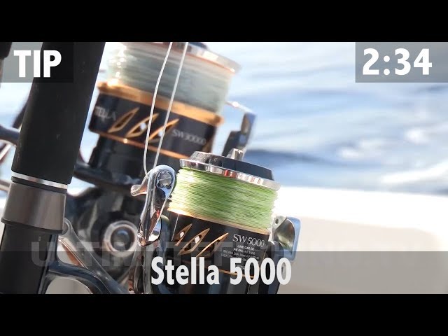 FIELD TEST: IMPRESSED WITH THE NEW STELLA 5000 