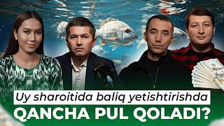 UYDA BALIQ YETISHTIRIB QANCHA DAROMAD QILSA BO’LADI? #baliqbiznesi #hayvonbiznesi #growz #uzbekistan