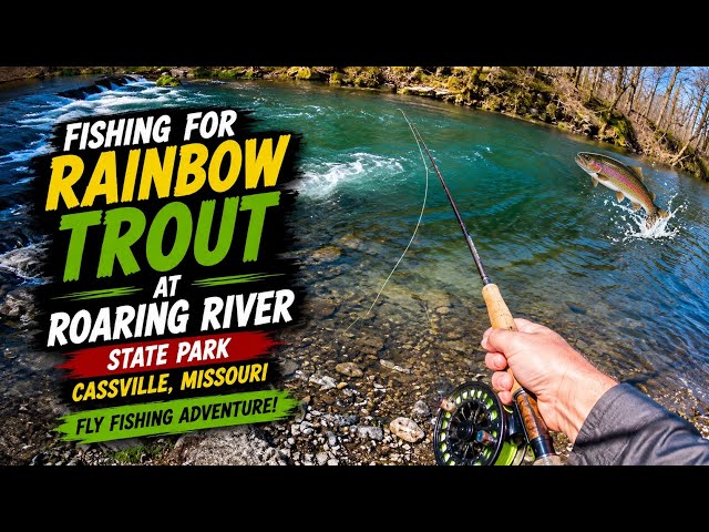 castind for trout lures missouri state parks Casting Kit  Gibbs Fishing Winter a Prime Time to