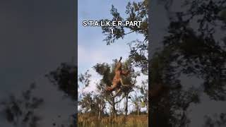 #game #stalker #stalker2 #stalkergamma #stalkergame #Chornobyl #funny #sad #peak #postapocalypse