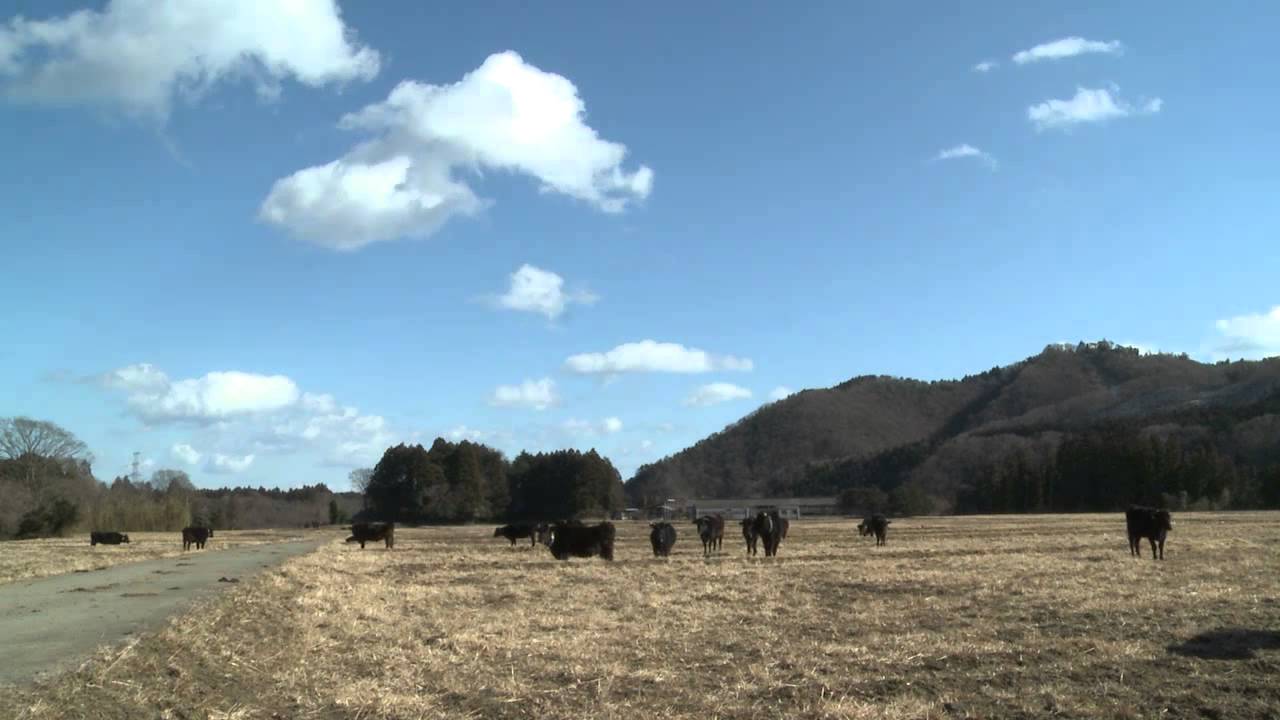 time laps footage of farm land in dead zone