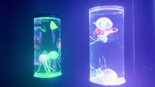 Aquarium Night Lights, No Audio