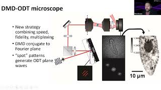Fourier synthesis of ODT patterns for kilohertz rate volumetric imaging