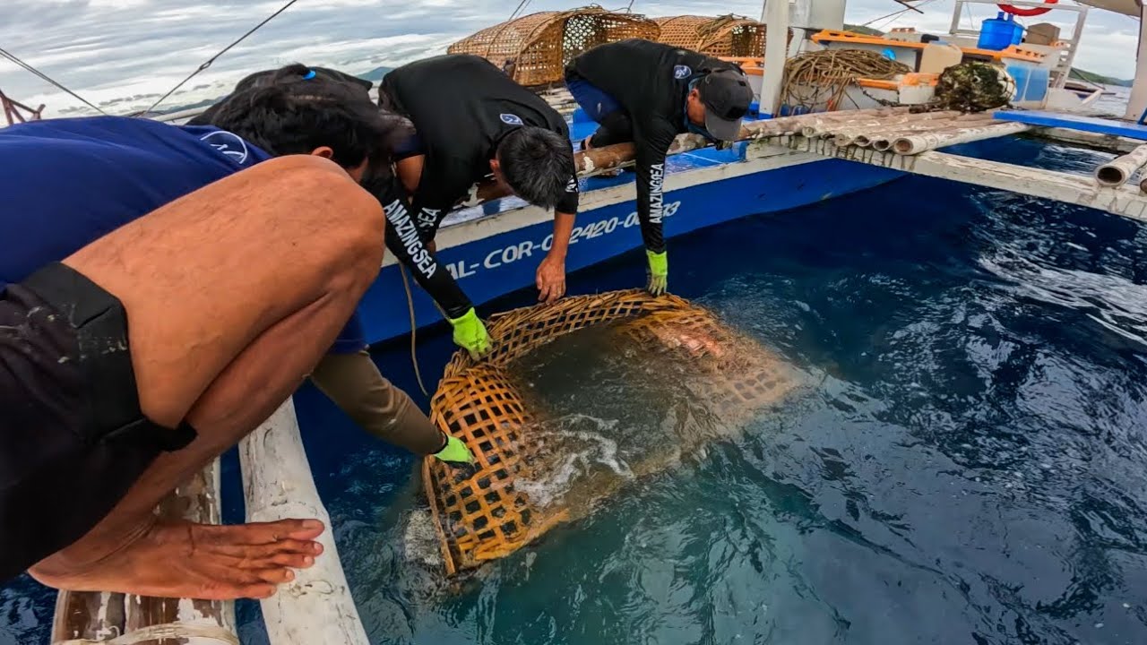 Ngayon Lang Nangyare Lahat Ng Trap May Huli Jackpot!