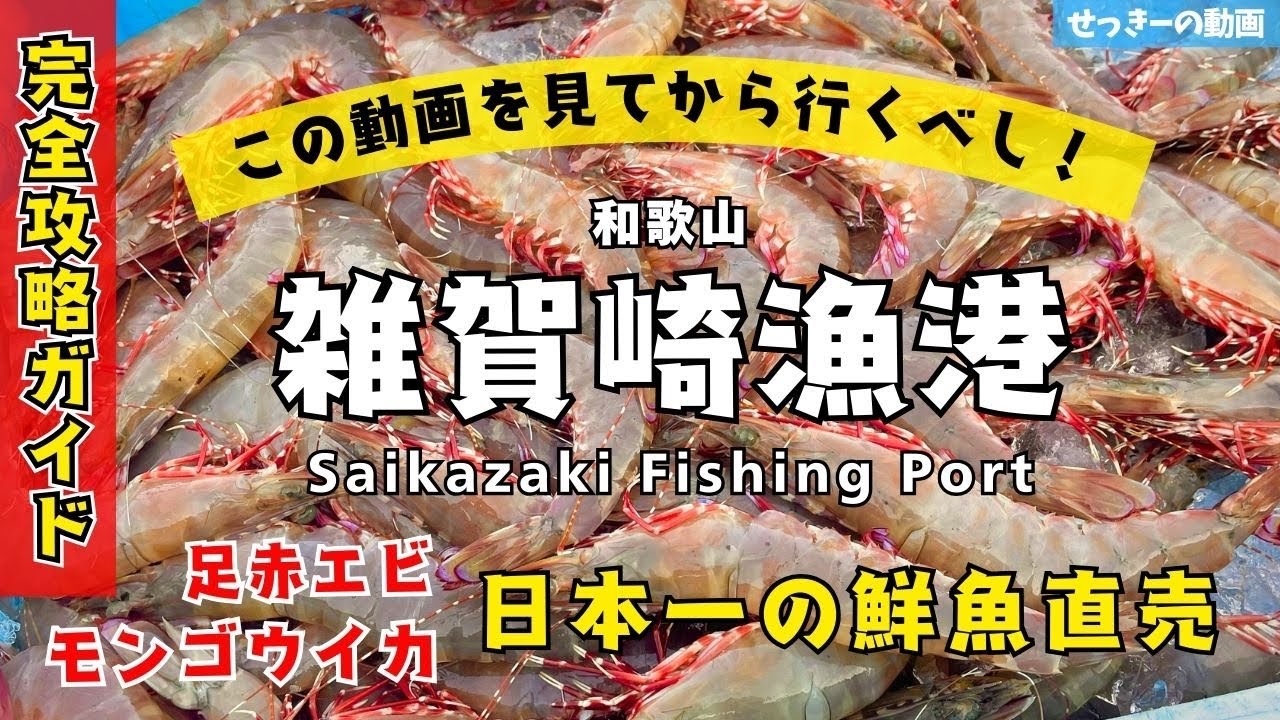 【2026年保存版】一匹100円以下⁉️日本一の激安‼️鮮魚直売『雑賀崎漁港🐟』で足赤えびを買ってすぐに食べてみた🍴🦐【完全ガイド 和歌山 足赤海老 人気釣りスポット】