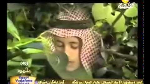تلاوة ولا أروع من سورة الرحمان بصوت الطفل محمد طه الجنيد