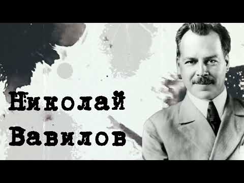 Николай Вавилов: Учёный, который хотел накормить весь мир и умер от голода.