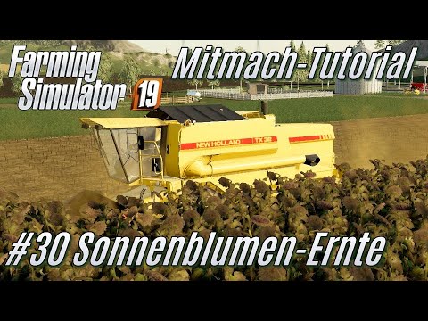 LS19 Mitmach Tutorial 30 SonnenblumenErnte YouTube