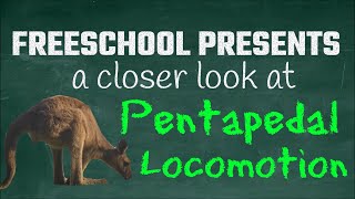 Pentapedal Locomotion: FreeSchool Presents a Closer Look at the Peculiar Motion of Kangaroos