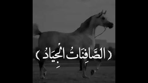 قرآن كريم بصوت القارئ: اسلام صبحي || أجمل حالات واتس اب دينيه || تلاوة خاشعة 🌿ووهبنا لداوود سليمان