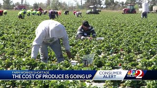 Labor crisis and increased costs weigh on Central Florida farms
