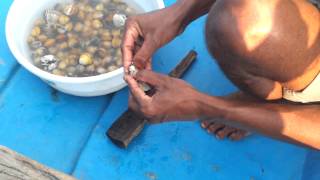 Selling 'Pearls' in Chilika lake, Orissa (Odisha)