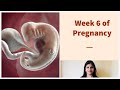 Week 6 of pregnancy  weekly pregnancy tips and updates in kannada