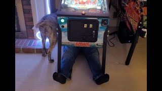 Installing Stern art blades and the expression speaker lighting kit in a Jaws Pro Pinball Machine