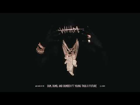 Lil Baby -  Dum dumb \u0026 dumber feat Young Thug \u0026 Future (Official Visualizer)