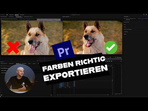 EXPORT SETTINGS PREMIERE PRO 🎨 | EXPORT COLORS CORRECTLY | Fitchgallery