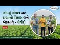 "ગ્રેવિટી ની કમાલ, ઉત્પાદનમાં માલામાલ"